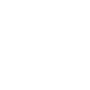 Icon Linkedin
