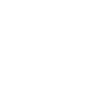 Icon Twitter